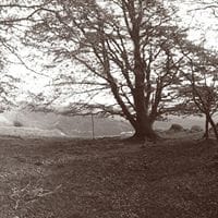 Oriol Alcalà Querol