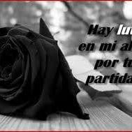 Paula Klenzi Albornoz