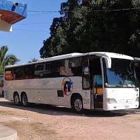 javis fco