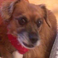 Maria Del Mar Naranjo