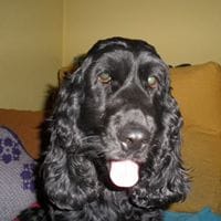 Victor Manuel Villarreal