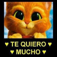 Indira de los Santos