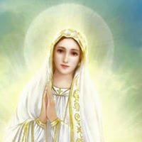 LuzAdriana VanegasNarvaez