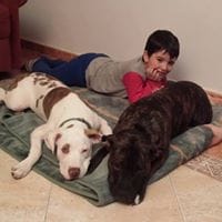 Maria Fernandez Diez