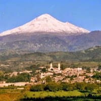 Leonardo candia guzman