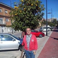 Vicente Luis Martínez Ferrer