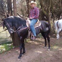 Wilfredo Zafat Quiroz