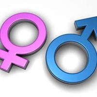 Salud Y Sexologia