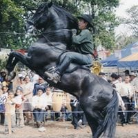 Arnoldo Mendoza Mendoza