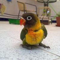 Eduardo Colomo Cámara