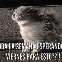 Antonio Garcia Nicolas