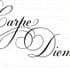 Carolina