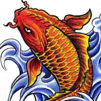 Akafish Marillion