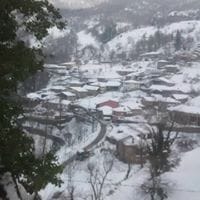Aurora Caso