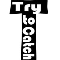 try to catch