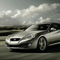 Nelson  Molina Acevedo