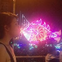 Paula Andrea Montoya Viviescas