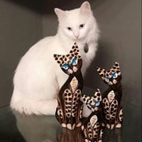 mila bg