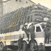 Nisan Patatafinder