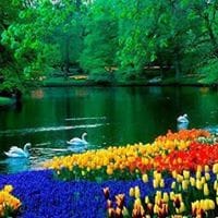 Cecilia Alonso Calatayud