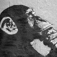 Jin Volkov