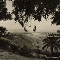 Alezio St