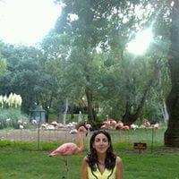 Mercedes Florencio Chamorro