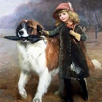 Perro Gato