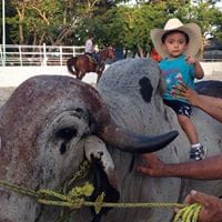 Carolina Issa Uc