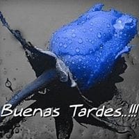 Paula Cid Cid