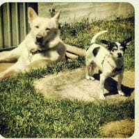 Jose pascual balsalobre