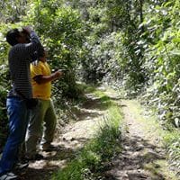 Luis Hernandez