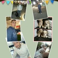 Alex Roman Henriquez