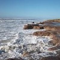 Monica Beatriz Lattanzio