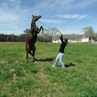 Andrea Rigos Pastorino