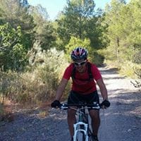 Francisco José Cutillas