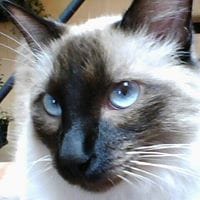 Gloria Helena Martínez Restrepo