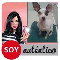 Jud Rodríguez
