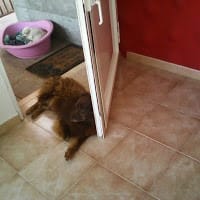 Jose Javier Ramirez Rodriguez