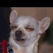 Esther Romero Medina