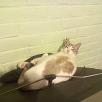 David León Guadarrama