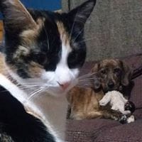 María Luisa Quelín