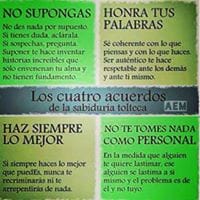 Ivaneyda Aldrete S.