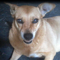 Nayla Oriana Dominguez