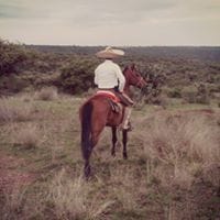 Manuel Palomino