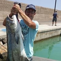 Vicente Felix Mestre Martinez