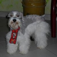 Jose Medina Illera