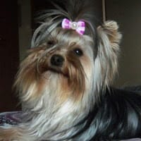 Maite C