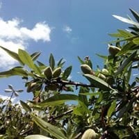 Charo Santos Cabreros