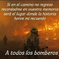 almudena madinabeitia